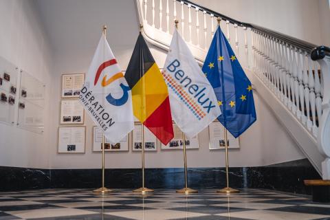 Drapeaux FWB et BENELUX